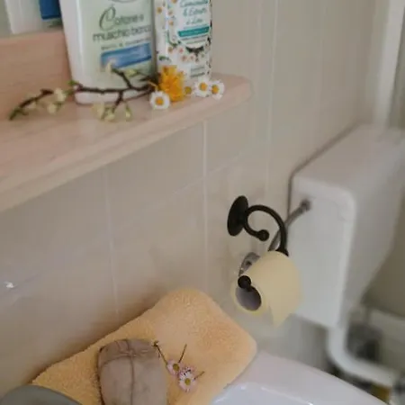 Bobi Apartamento Tolmin