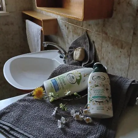 Apartamento Bobi Tolmin