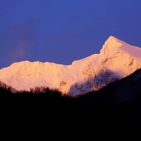 Bobi * Tolmin